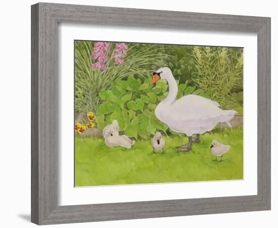 Swan and Cygnets-Linda Benton-Framed Giclee Print