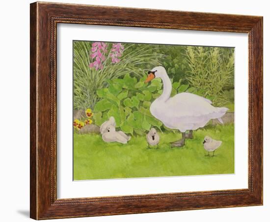 Swan and Cygnets-Linda Benton-Framed Giclee Print