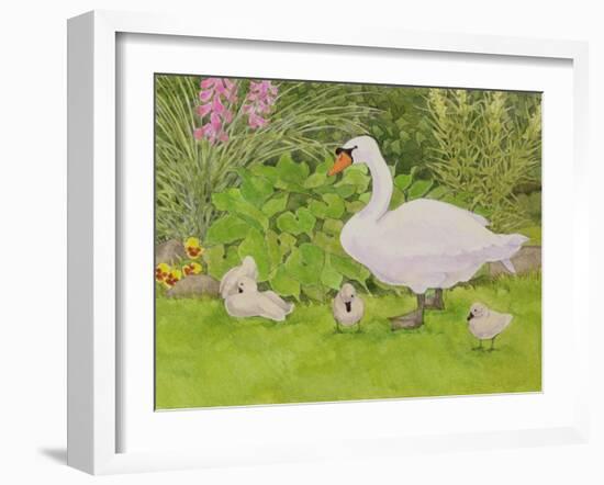 Swan and Cygnets-Linda Benton-Framed Giclee Print