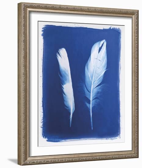 Swan and Magpie Feathers-Sarah Cheyne-Framed Giclee Print