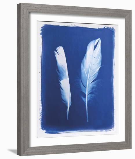 Swan and Magpie Feathers-Sarah Cheyne-Framed Giclee Print