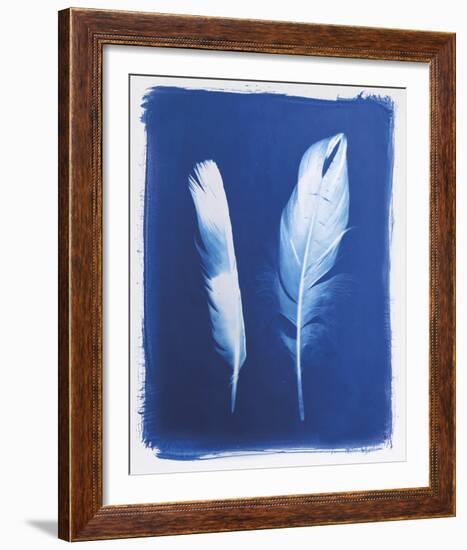Swan and Magpie Feathers-Sarah Cheyne-Framed Giclee Print