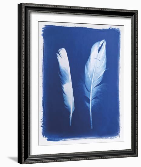 Swan and Magpie Feathers-Sarah Cheyne-Framed Giclee Print