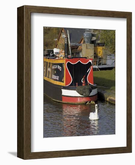 Swan and Narrowboat Near the British Waterways Board Workshops, Tardebigge, England-David Hughes-Framed Photographic Print