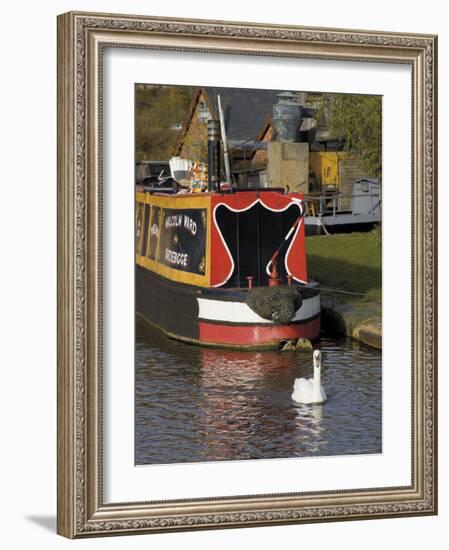 Swan and Narrowboat Near the British Waterways Board Workshops, Tardebigge, England-David Hughes-Framed Photographic Print