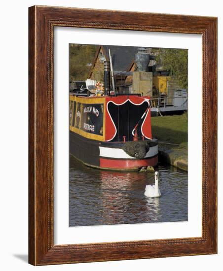 Swan and Narrowboat Near the British Waterways Board Workshops, Tardebigge, England-David Hughes-Framed Photographic Print