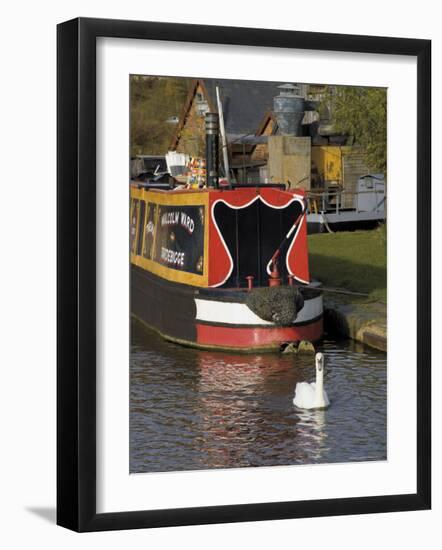 Swan and Narrowboat Near the British Waterways Board Workshops, Tardebigge, England-David Hughes-Framed Photographic Print