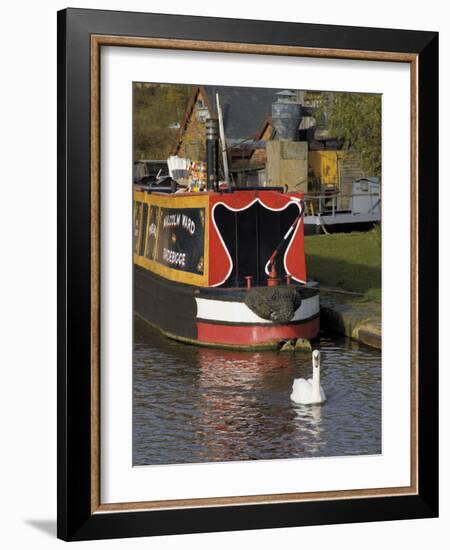Swan and Narrowboat Near the British Waterways Board Workshops, Tardebigge, England-David Hughes-Framed Photographic Print