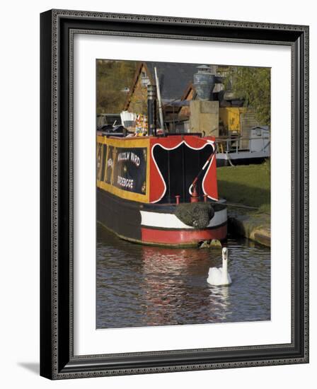 Swan and Narrowboat Near the British Waterways Board Workshops, Tardebigge, England-David Hughes-Framed Photographic Print