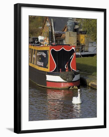 Swan and Narrowboat Near the British Waterways Board Workshops, Tardebigge, England-David Hughes-Framed Photographic Print