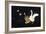 Swan and Two Birds Carrying Bird Cage Flying at Night-Eduardo Camoes-Framed Giclee Print