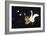 Swan and Two Birds Carrying Bird Cage Flying at Night-Eduardo Camoes-Framed Giclee Print