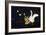 Swan and Two Birds Carrying Bird Cage Flying at Night-Eduardo Camoes-Framed Giclee Print