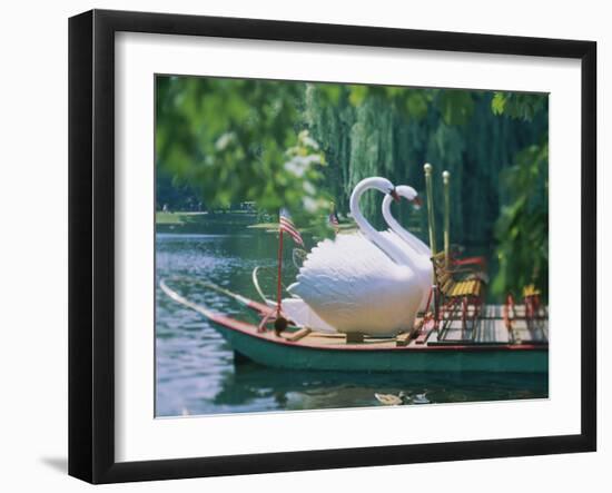 Swan Boats in a Lake, Boston Common, Boston, Massachusetts, USA-null-Framed Photographic Print