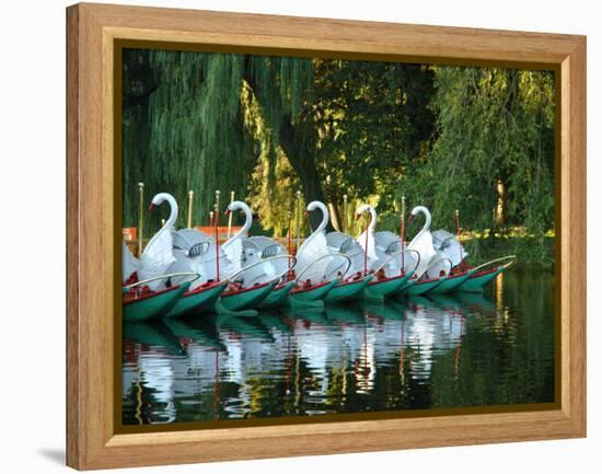 Swan Boats in Public Garden, Boston, Massachusetts-Lisa S^ Engelbrecht-Framed Premier Image Canvas