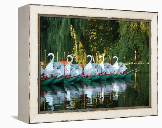 Swan Boats in Public Garden, Boston, Massachusetts-Lisa S^ Engelbrecht-Framed Premier Image Canvas