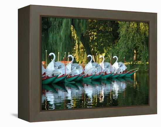 Swan Boats in Public Garden, Boston, Massachusetts-Lisa S^ Engelbrecht-Framed Premier Image Canvas