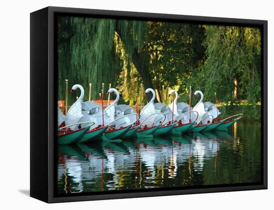 Swan Boats in Public Garden, Boston, Massachusetts-Lisa S^ Engelbrecht-Framed Premier Image Canvas