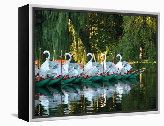 Swan Boats in Public Garden, Boston, Massachusetts-Lisa S^ Engelbrecht-Framed Premier Image Canvas