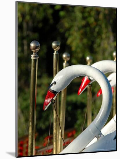 Swan Boats in Public Garden, Boston, Massachusetts-Lisa S. Engelbrecht-Mounted Photographic Print