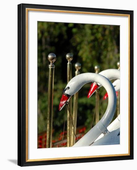 Swan Boats in Public Garden, Boston, Massachusetts-Lisa S. Engelbrecht-Framed Photographic Print