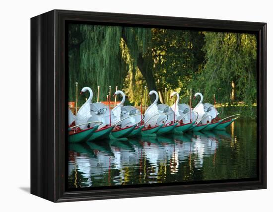 Swan Boats in Public Garden, Boston, Massachusetts-Lisa S^ Engelbrecht-Framed Premier Image Canvas