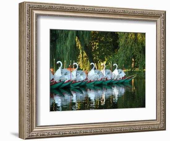 Swan Boats in Public Garden, Boston, Massachusetts-Lisa S^ Engelbrecht-Framed Photographic Print