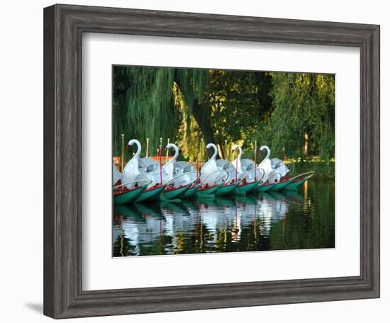 Swan Boats in Public Garden, Boston, Massachusetts-Lisa S^ Engelbrecht-Framed Photographic Print