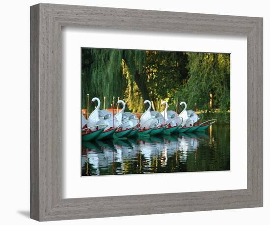 Swan Boats in Public Garden, Boston, Massachusetts-Lisa S^ Engelbrecht-Framed Photographic Print