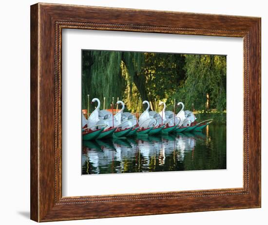 Swan Boats in Public Garden, Boston, Massachusetts-Lisa S^ Engelbrecht-Framed Photographic Print