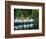 Swan Boats in Public Garden, Boston, Massachusetts-Lisa S^ Engelbrecht-Framed Photographic Print