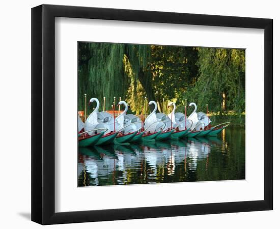 Swan Boats in Public Garden, Boston, Massachusetts-Lisa S^ Engelbrecht-Framed Photographic Print