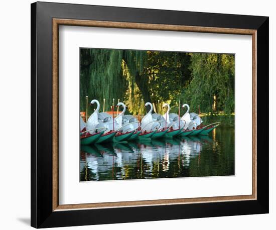 Swan Boats in Public Garden, Boston, Massachusetts-Lisa S^ Engelbrecht-Framed Photographic Print