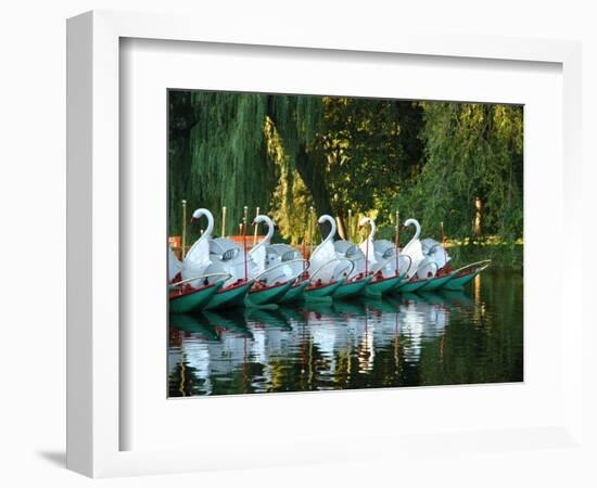 Swan Boats in Public Garden, Boston, Massachusetts-Lisa S^ Engelbrecht-Framed Photographic Print