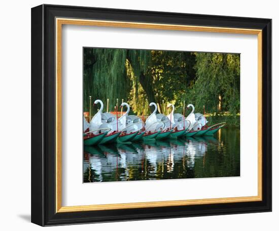 Swan Boats in Public Garden, Boston, Massachusetts-Lisa S^ Engelbrecht-Framed Photographic Print