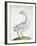 Swan, C.1767-76-null-Framed Giclee Print