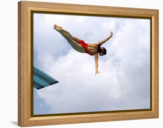 Swan Dive-null-Framed Premier Image Canvas