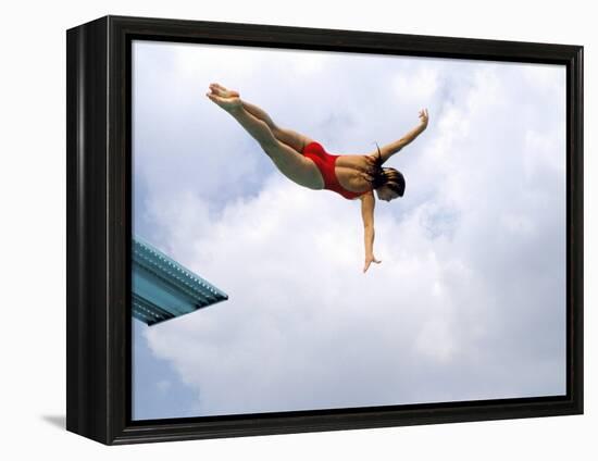 Swan Dive-null-Framed Premier Image Canvas