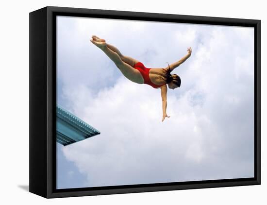 Swan Dive-null-Framed Premier Image Canvas