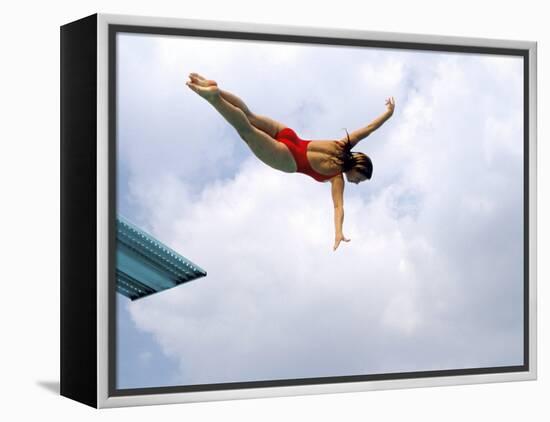 Swan Dive-null-Framed Premier Image Canvas