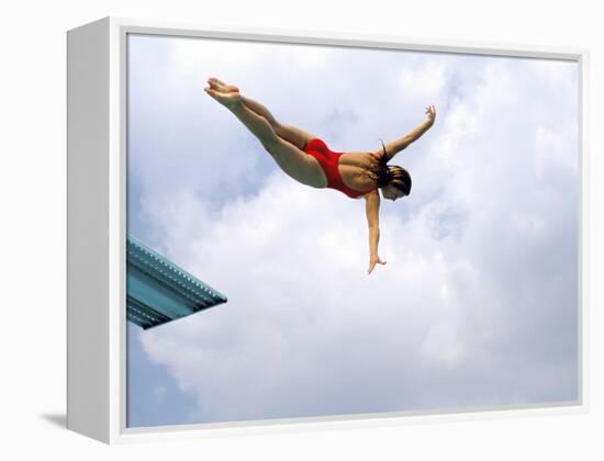 Swan Dive-null-Framed Premier Image Canvas