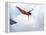 Swan Dive-null-Framed Premier Image Canvas