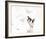 Swan Duet-Wink Gaines-Framed Giclee Print