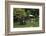 Swan Fountain, Hibiya Park, Tokyo, Japan, Asia-Richard Cummins-Framed Photographic Print