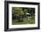 Swan Fountain, Hibiya Park, Tokyo, Japan, Asia-Richard Cummins-Framed Photographic Print