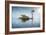 Swan in the Morning Sunlight with Reflections on Calm Water in a Lake-Flynt-Framed Photographic Print