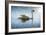 Swan in the Morning Sunlight with Reflections on Calm Water in a Lake-Flynt-Framed Photographic Print