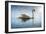 Swan in the Morning Sunlight with Reflections on Calm Water in a Lake-Flynt-Framed Photographic Print