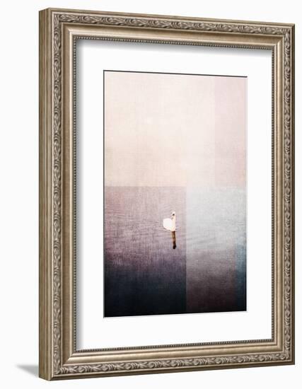 Swan in Water-Imaginative-Framed Photographic Print