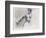 Swan Lake, 2001-Mark Adlington-Framed Giclee Print